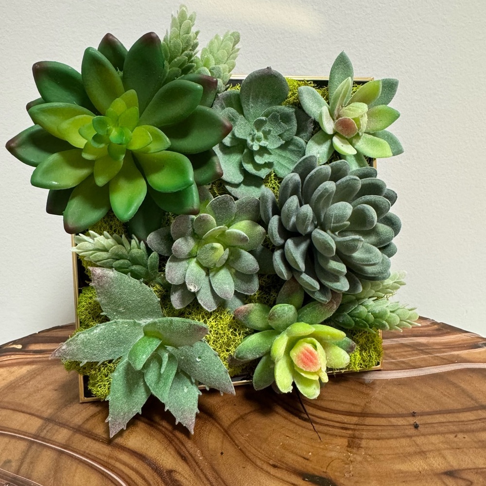 Succulent Wall Art in Gold and Black Frame